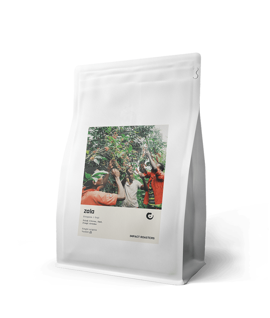 Coffee Beans - ZALA