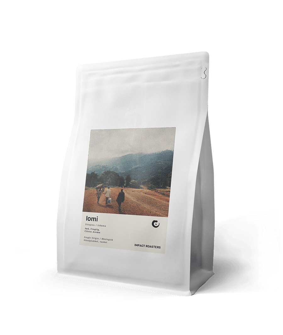 Coffee Beans - LOMI – Sidama