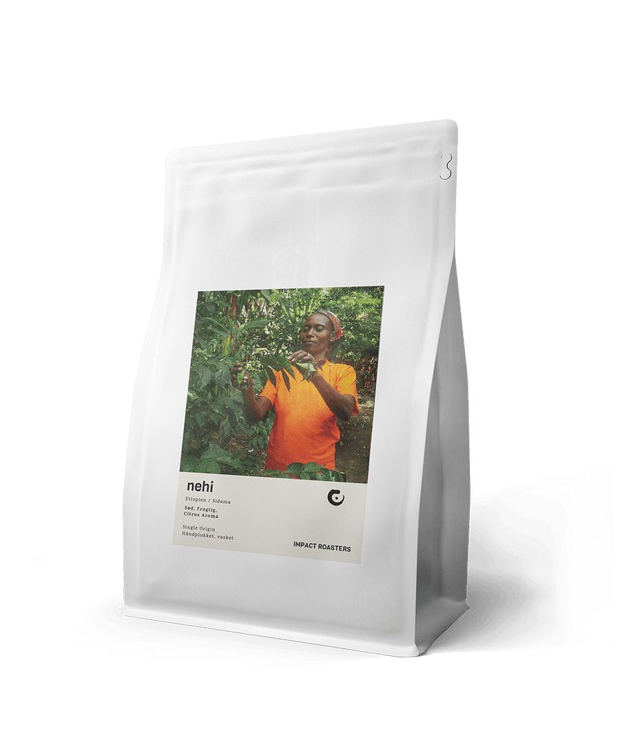 Coffee Beans - NEHI – Sidama