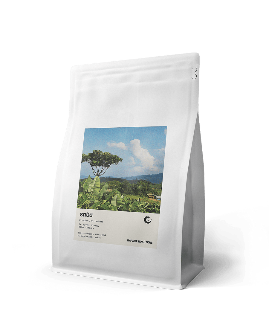 Coffee Beans - SABA – Yirgachefe