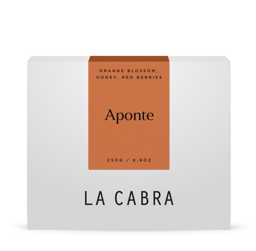 Aponte