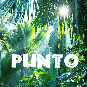 Punto (mellemmørk Honduras) ØKO
