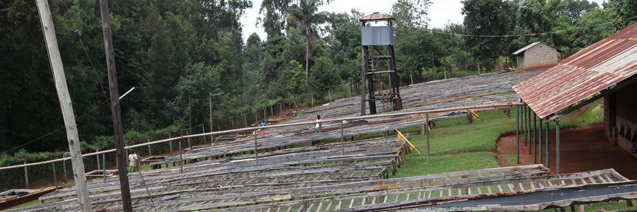#18 Kenya, Oreti