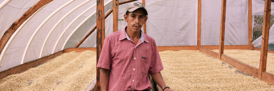 #19 Honduras, Wet fermented IH-90